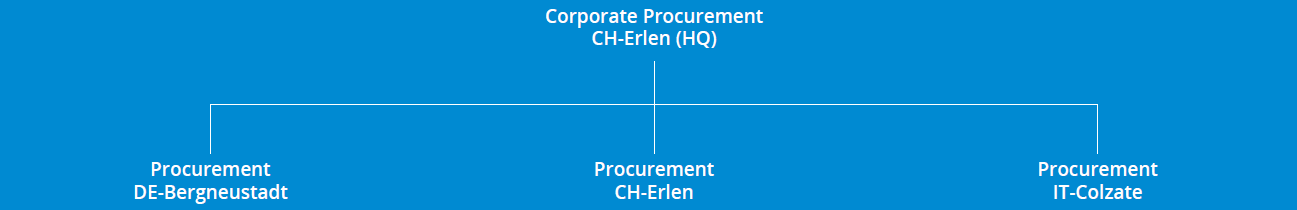 STRUCTURE AND ORGANISATION